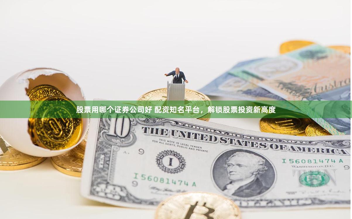 股票用哪个证券公司好 配资知名平台，解锁股票投资新高度