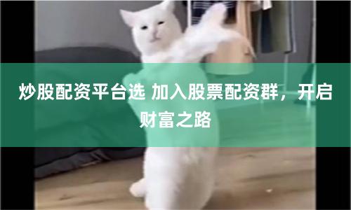 炒股配资平台选 加入股票配资群，开启财富之路