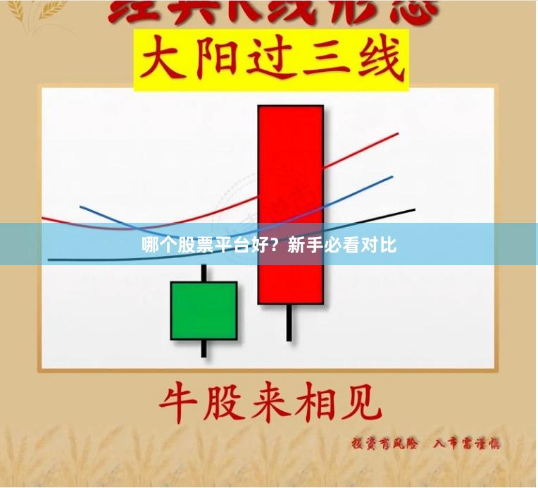 哪个股票平台好?新手必看对比