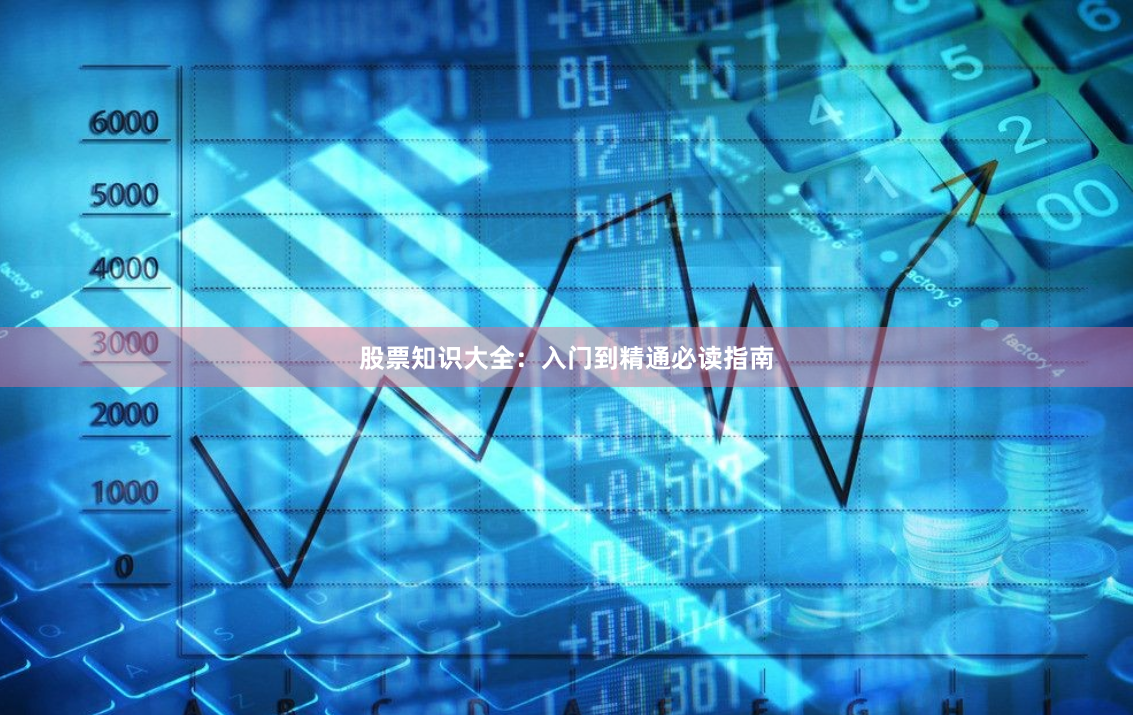 股票知识大全：入门到精通必读指南