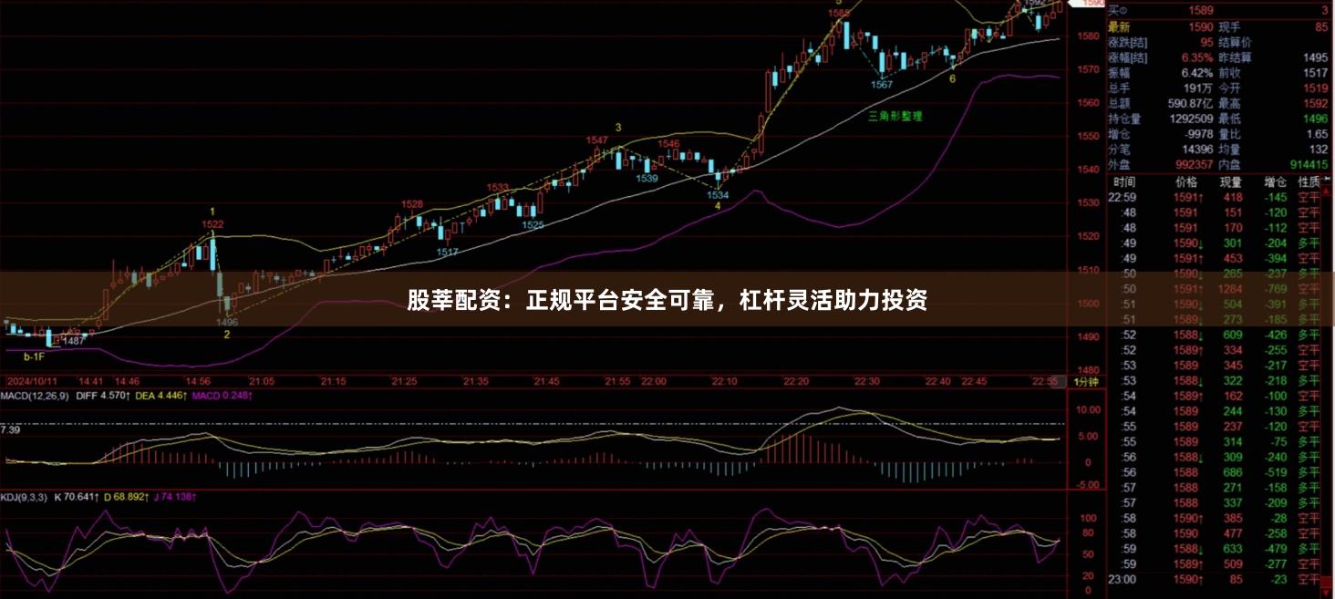 股莘配资：正规平台安全可靠，杠杆灵活助力投资